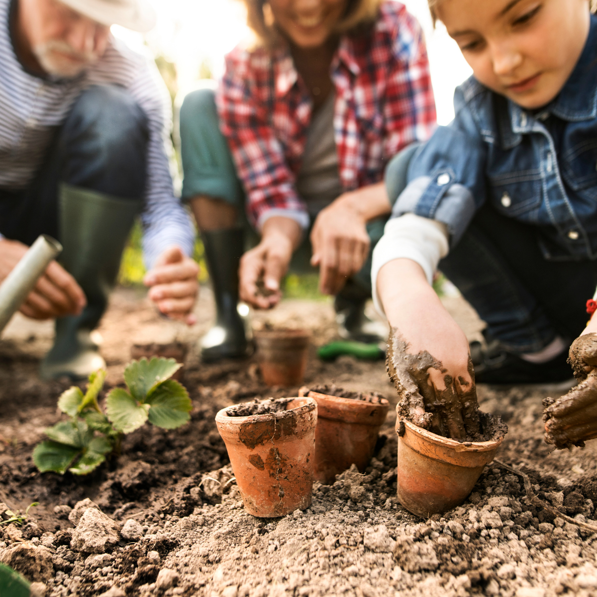 Kids doing gardening.