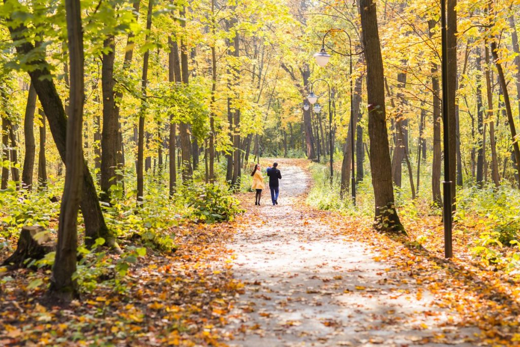 People walking through the park.